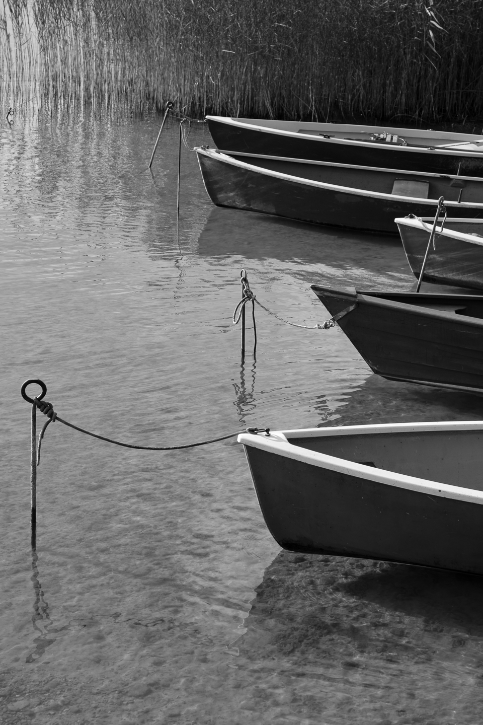 10.20.21Vers6BoatsFujiXE4-50mm