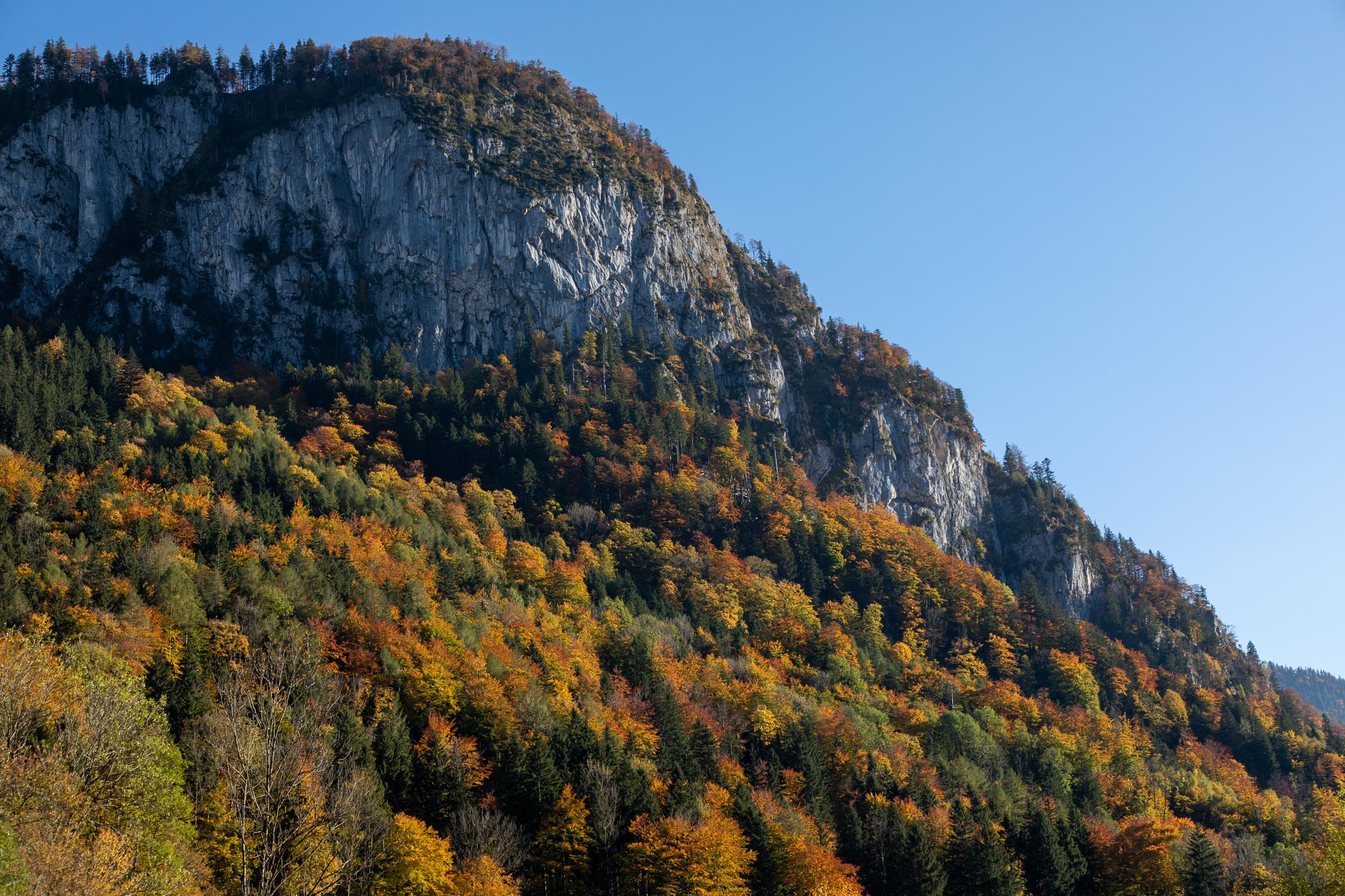 10.23.21Vers2FallFoliageCanon