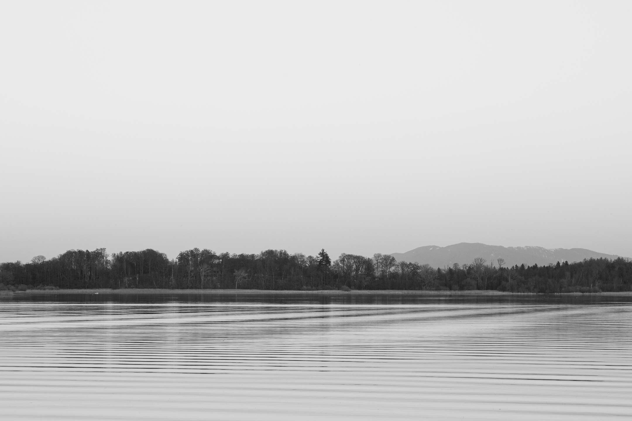 3.31.21Vers3SpringLakeViewCanon