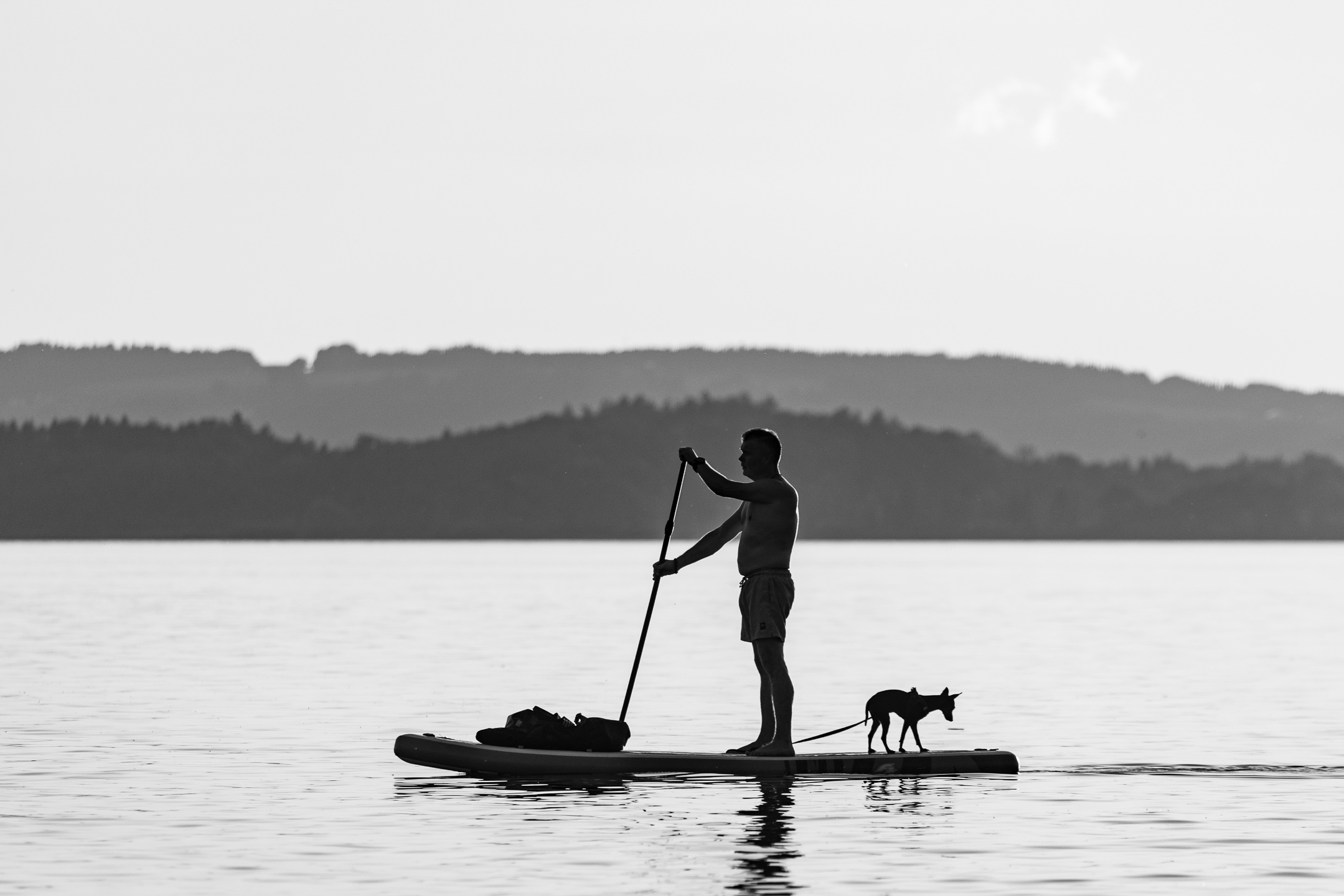 7.29.21DogPaddleBoarderLakeCanon