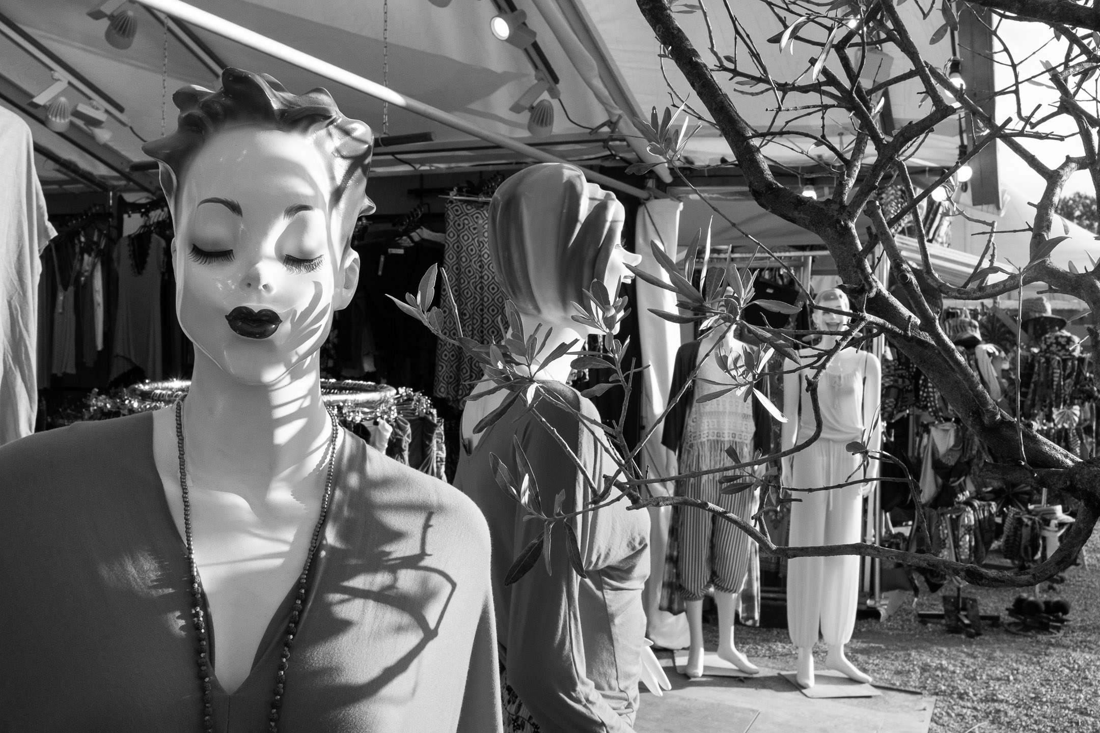 CarnivalDisplayMunich7.2.19copy