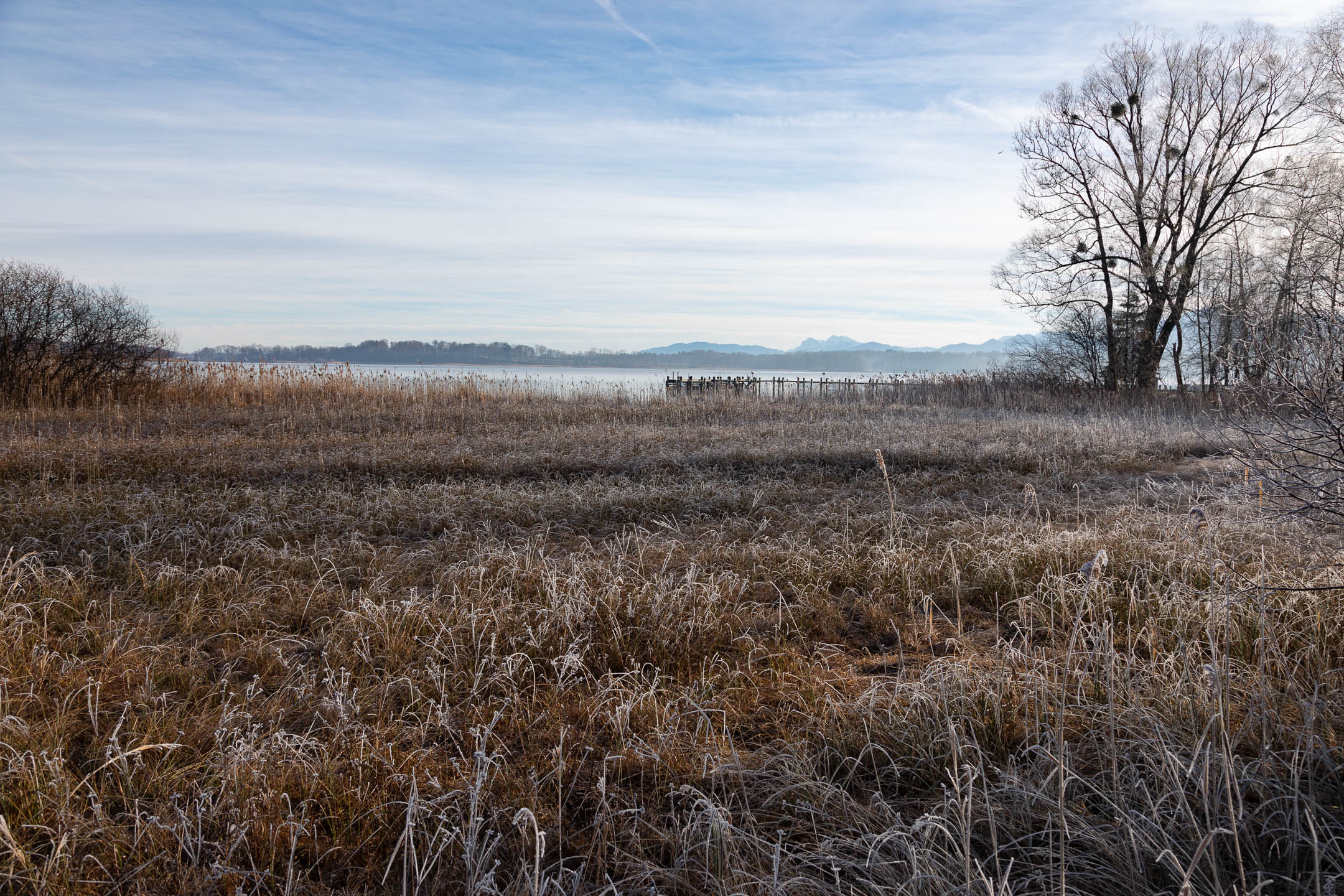 FrozenGrassLakeChimseeGermany12.26.18copy