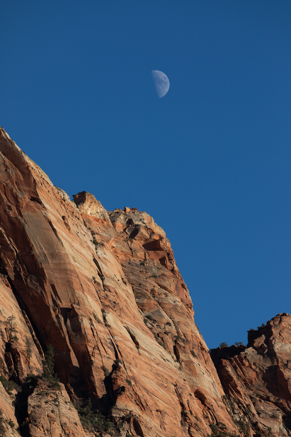 ZionUtahMoon11.4.19copy